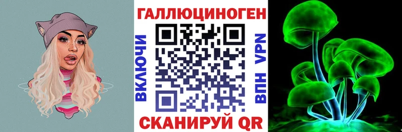Псилоцибиновые грибы Psilocybine cubensis  Белово 