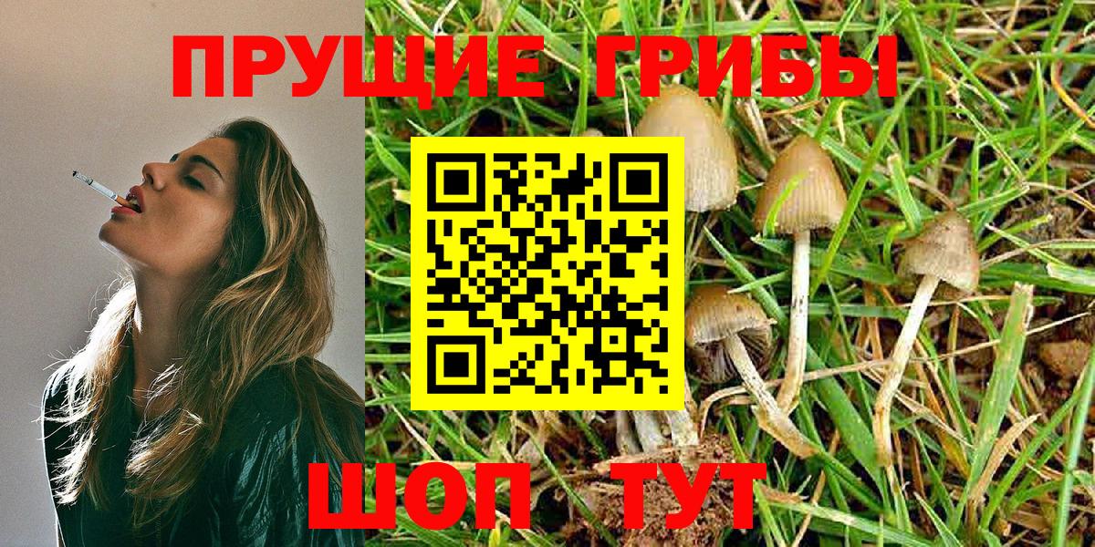 Псилоцибиновые грибы мицелий Белово