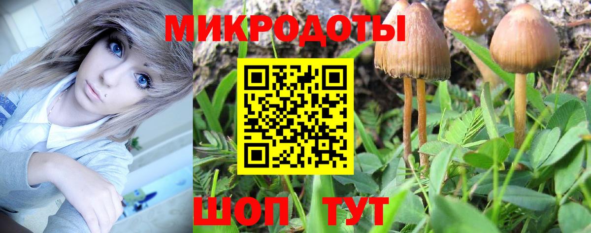 Псилоцибиновые грибы прущие грибы Белово