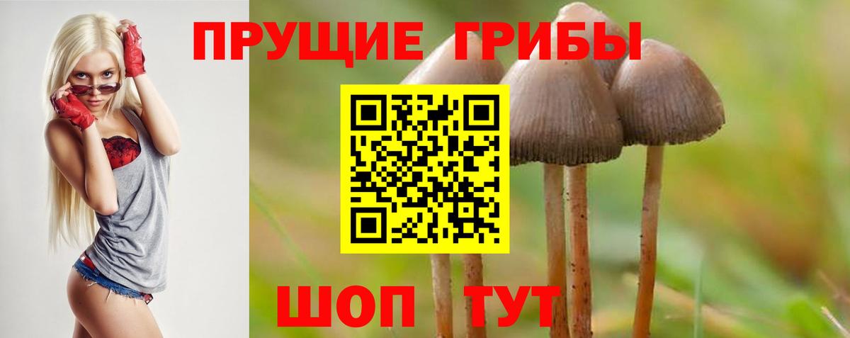 купить наркотики цена  Галлюциногенные грибы мухоморы  Белово  Вход с VPN  Галлюциногенные грибы мицелий 